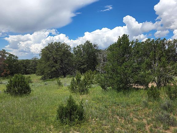 2nd image of Shadow Canyon Ridge Rd
