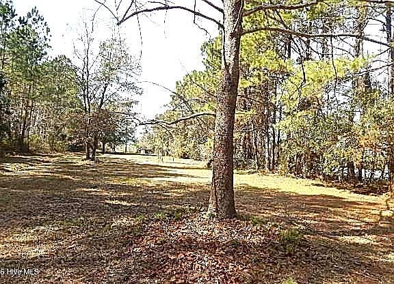 4th image of 515 Tuttles Grove Road