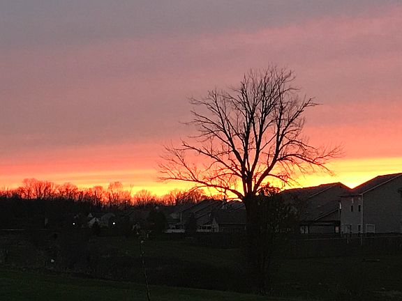 Beautiful Sunsets out back