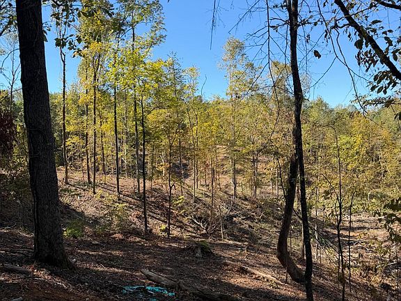 3rd image of County Road 202