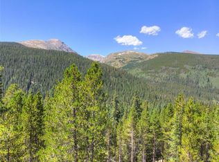 347 County Road 628, Breckenridge, CO 80424