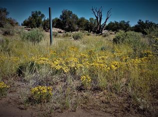 8822 Cupples Trl, Snowflake, AZ 85937