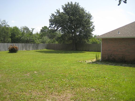 Back yard1_06172014