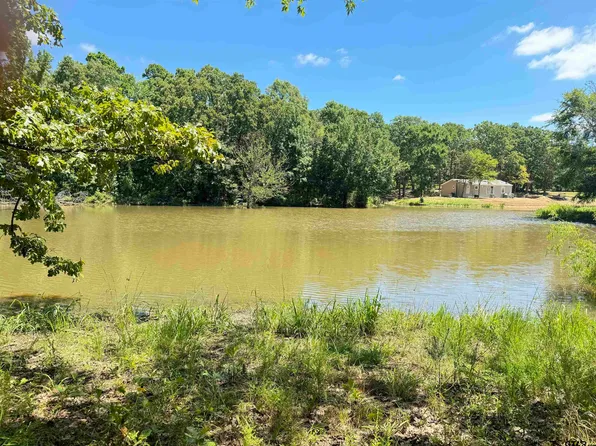 140 County Road 3125, Cookville, TX 75558