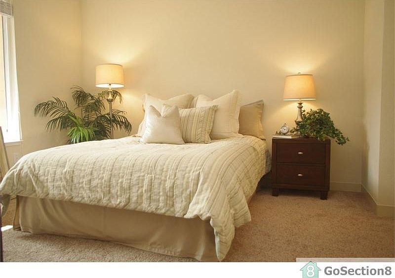 1st image of 65 Pierce Ave #304