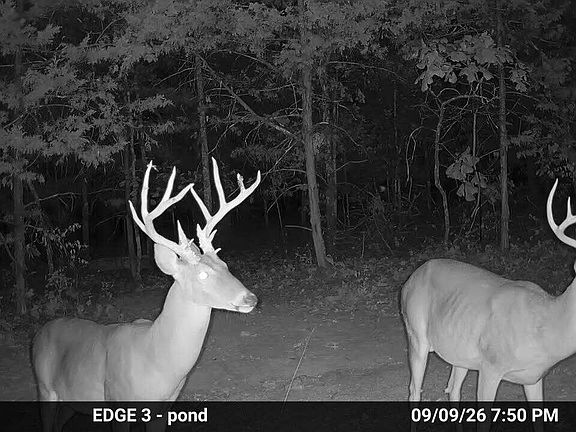 4th image of 0000 County Road Jj-416