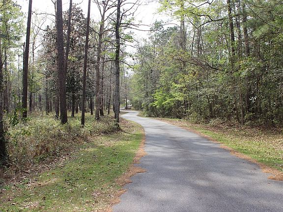 2nd image of 300 Feather Grass Ln