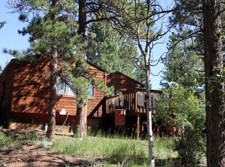 5544 County Road 5, Divide, CO 80814