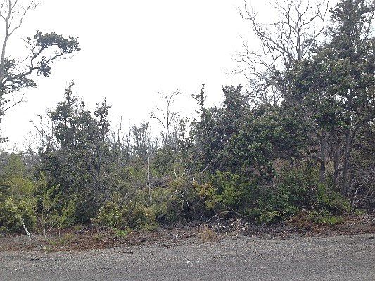 4th image of Pineapple Pkwy Lot 28