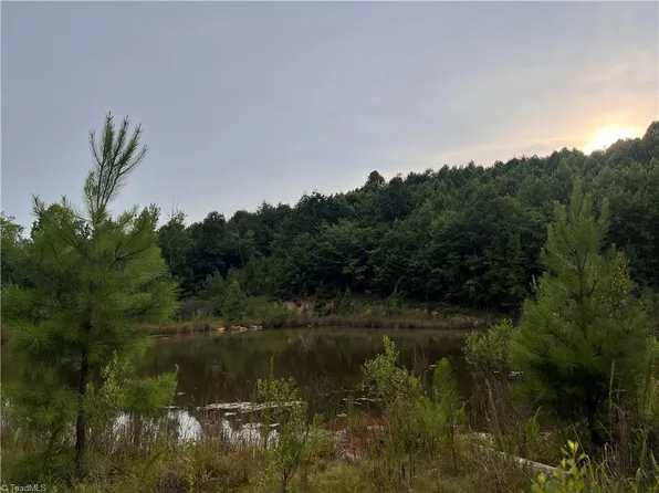 0 Cedar Forest Rd, Franklinville, NC 27248