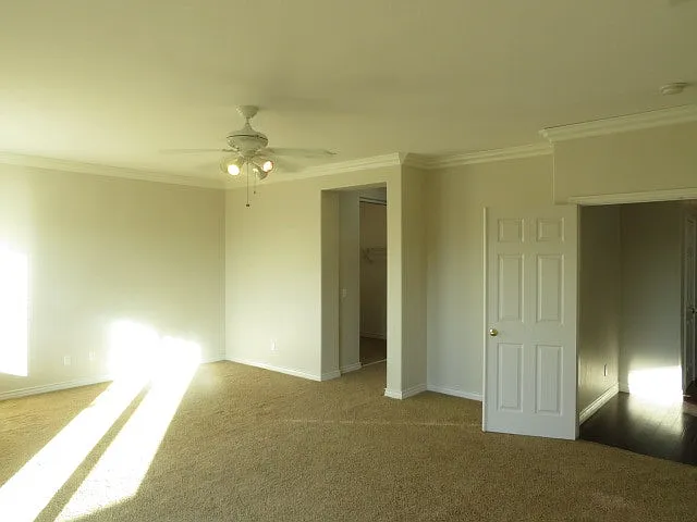 32916 Vine St — Photo 6