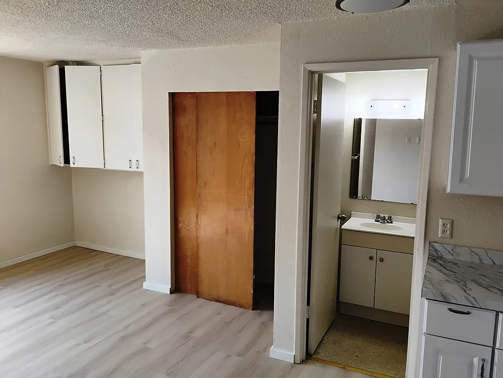 Studio, 450 sqft, $1,225 — Photo 2