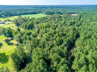 555 Scruggs Rd, Sumrall, MS 39482