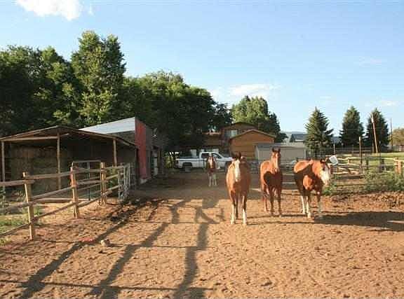 horse corral and barn