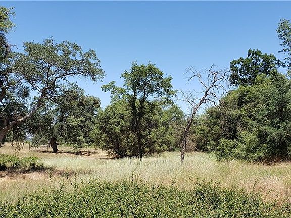 2nd image of 0 High Oaks Ln
