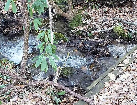 5th image of 999 Stoney Brook Trl