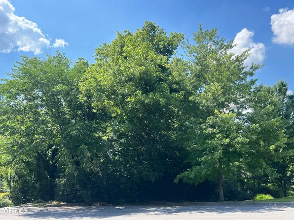 LOT 21 Ledges Dr, Kingsport, TN 37664
