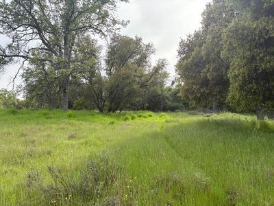 0 Blackfoot Rd, Coarsegold, CA, 93614