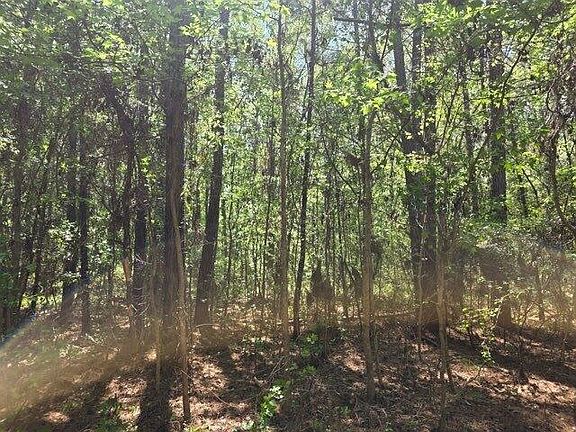 5th image of 0 Bears Bluff Rd Lot B