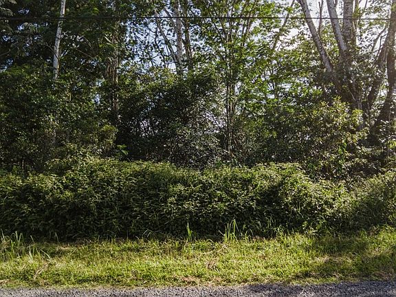 5th image of 14th Avenue Laamia Lot 1001