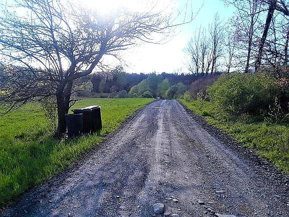 Steves Path, welcome!