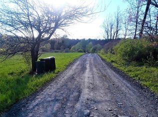 162 Steves Path, Summit, NY 12175