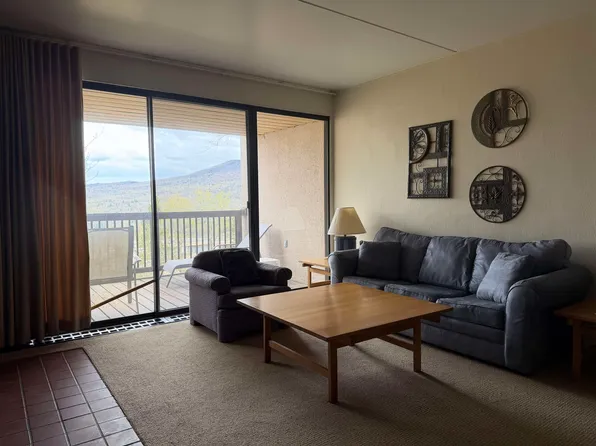 1275 Notchbrook Road #20 AB, Stowe, VT 05672