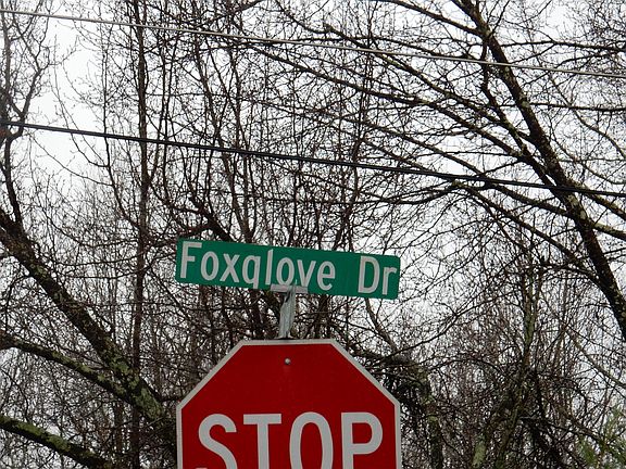 5th image of 2643 Foxglove Dr SW