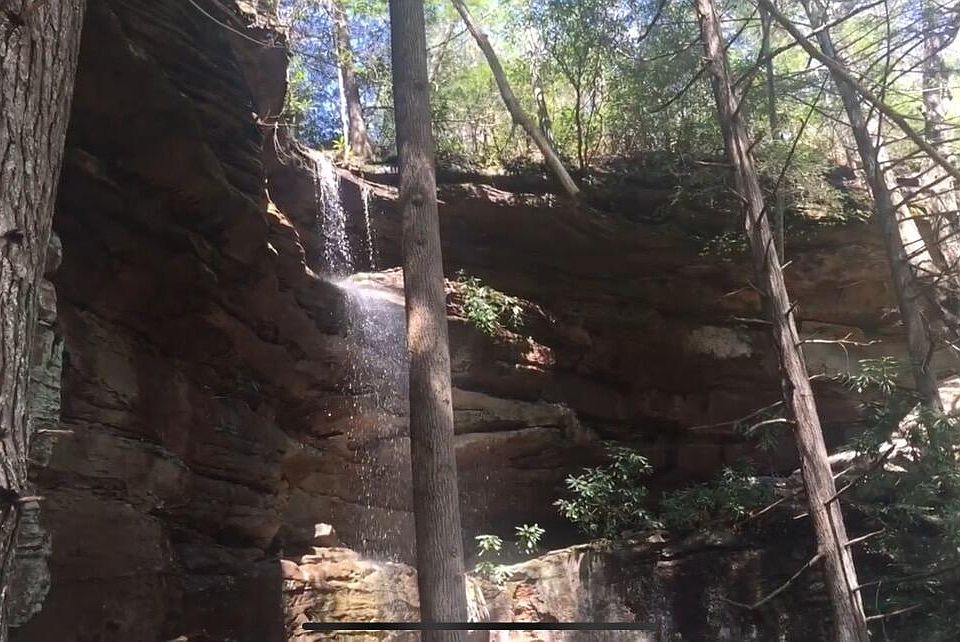 Bear Hollow Rd, Oneida, TN 37841 Zillow