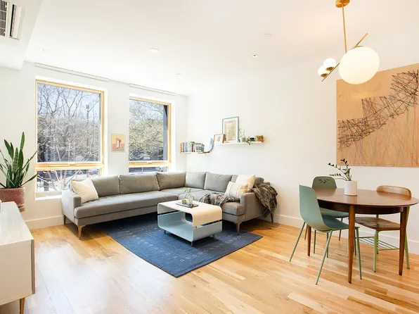 529 Park Pl #201, Brooklyn, NY 11238