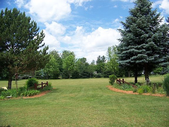 Back yard partial view