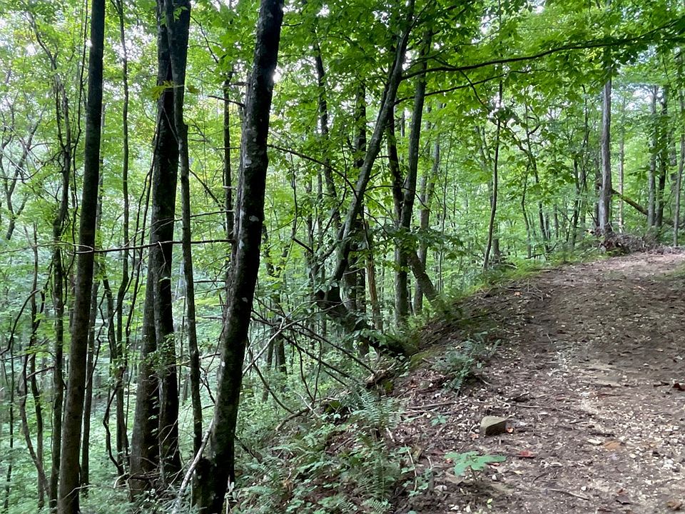 0 Huffman Creek Rd, Robbinsville, NC 28771 MLS 146701 Zillow