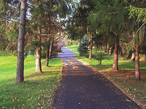 View from Mitchell's Mill Rd.
