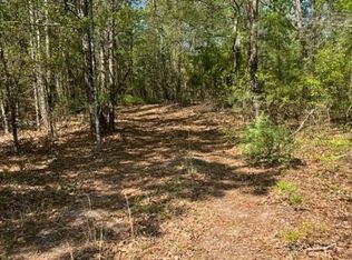 0 Boggy Gut Rd, Windsor, SC 29856
