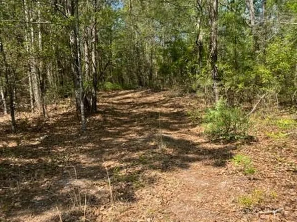 0 Boggy Gut Rd, Windsor, SC 29856