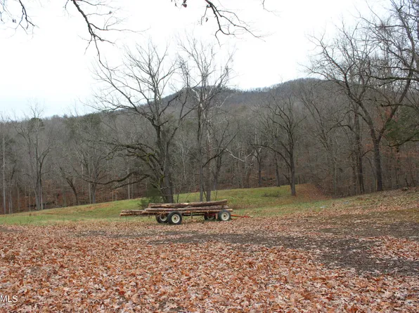 Will Patton Rd, Pall Mall, TN 38577