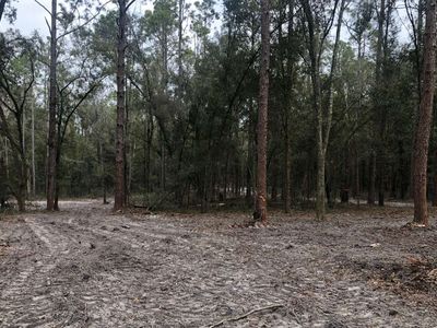 147TH Tbd, Live Oak, FL, 32060