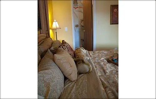 7378 Timber Dr #5 — Photo 1