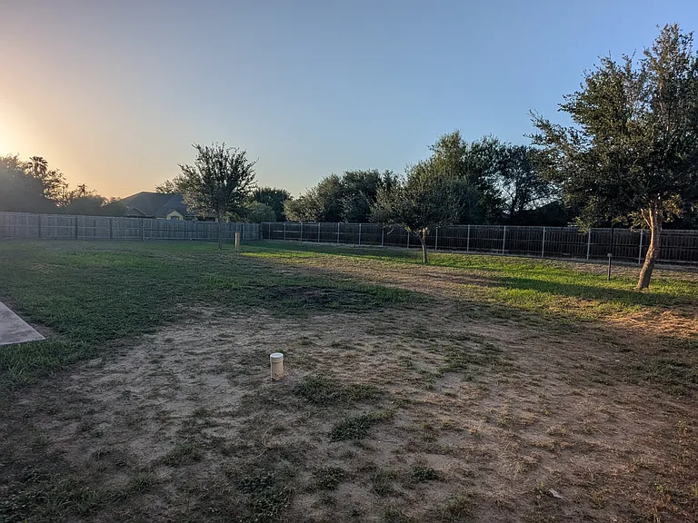10520 Wolf Creek Ave — Photo 19