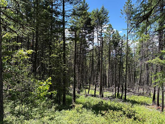4th image of 8025 Therriault Pass Rd