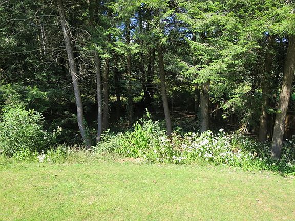 Wooded back view