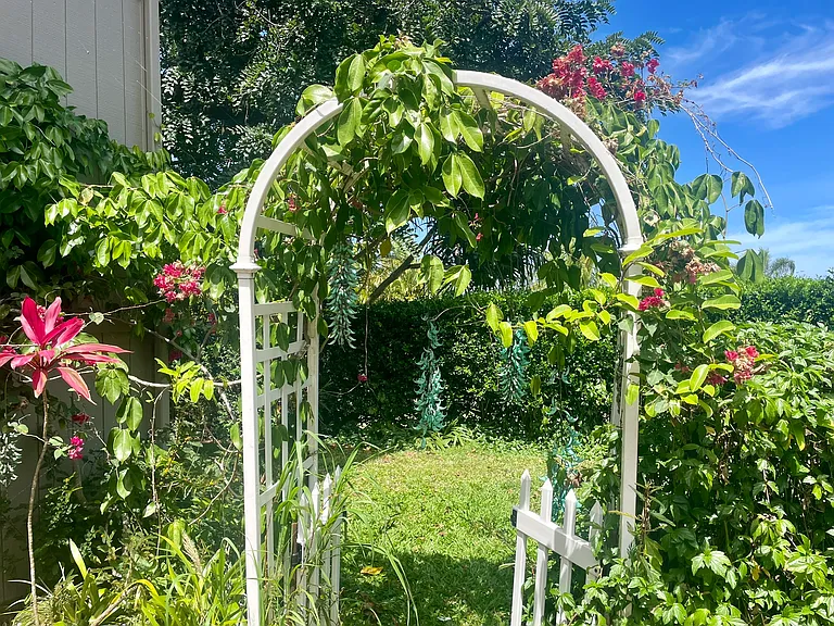 Kauhikoalani Pl — Photo 8