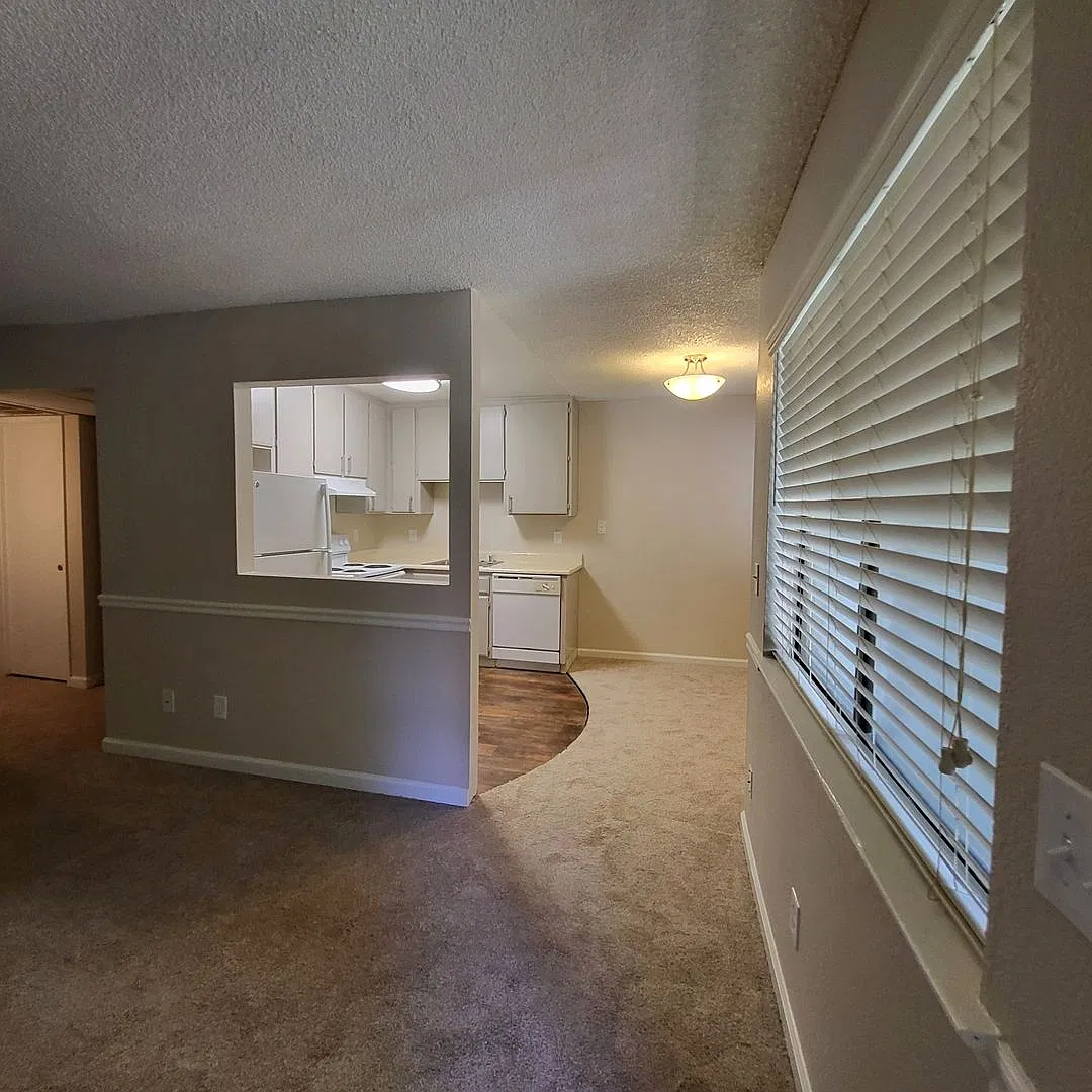 Olive Glen — Photo 2