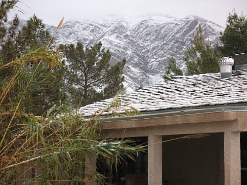 Shake Shingle roof is in good repair.