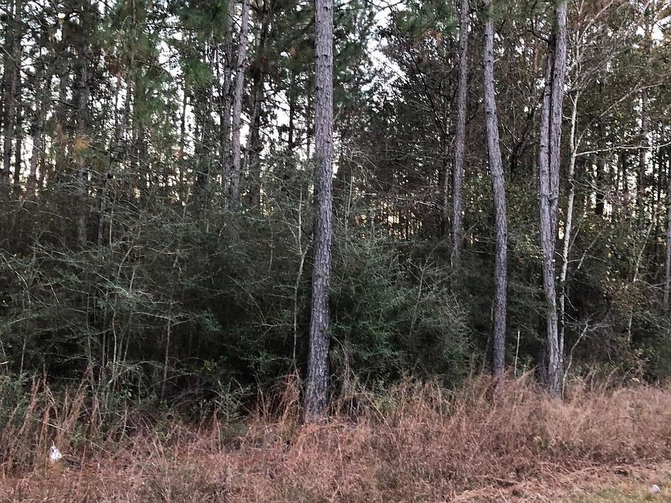 2nd image of 28030 Lake Cypress Dr W