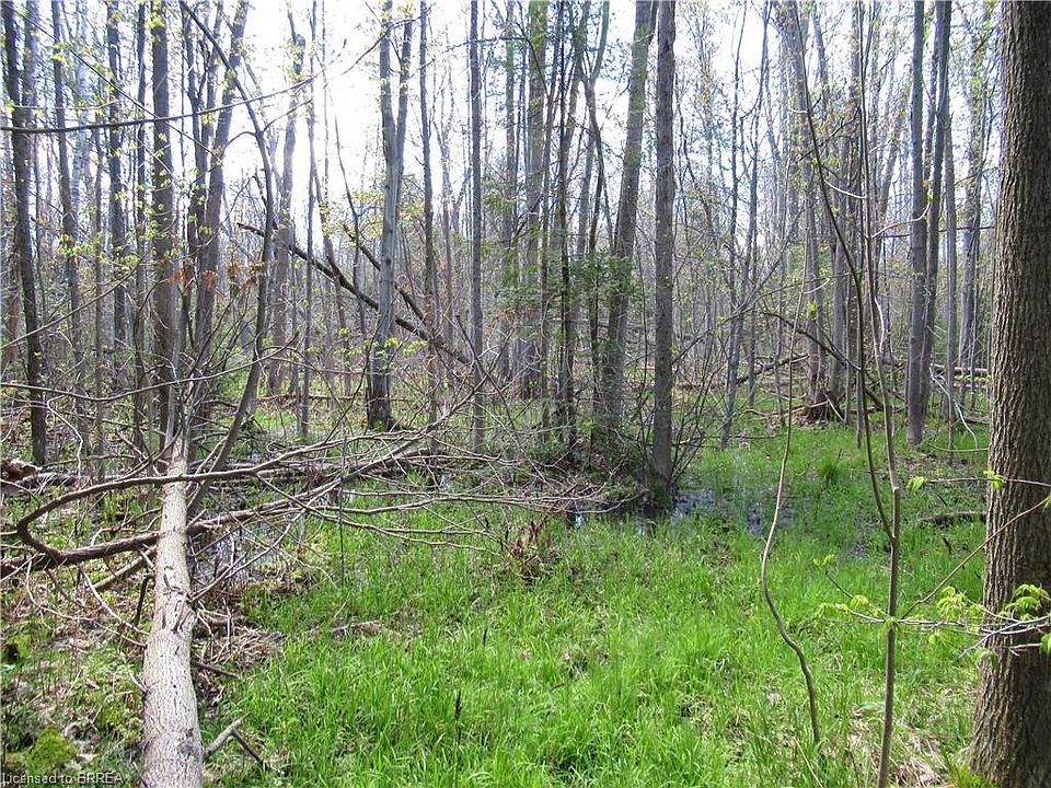 2nd image of 0 Regional Rd #97