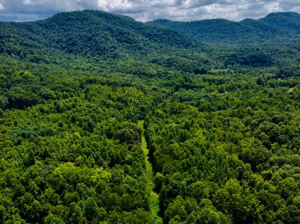 Rockhouse Creek Church Rd, Pioneer, TN 37847