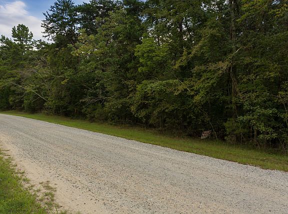 4th image of 130 Wild Turkey Dr