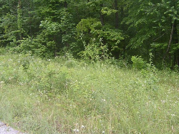 2nd image of Holly Dr