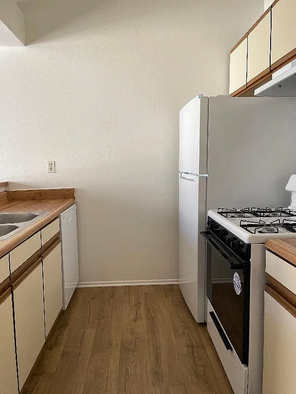 847 Padilla St — Photo 4